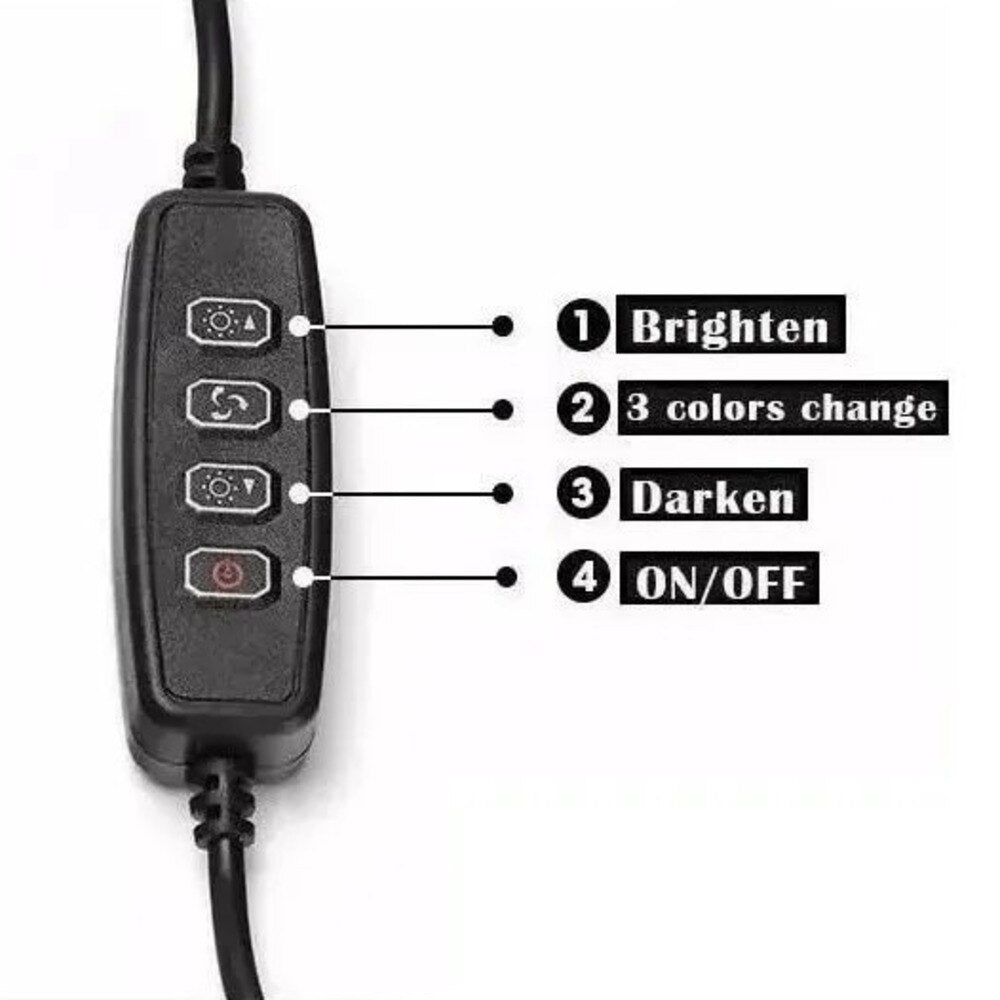 Ring Light 6 Polegadas (16cm) com Tripé e Suporte para Celular